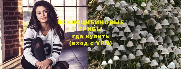 гидра Алзамай