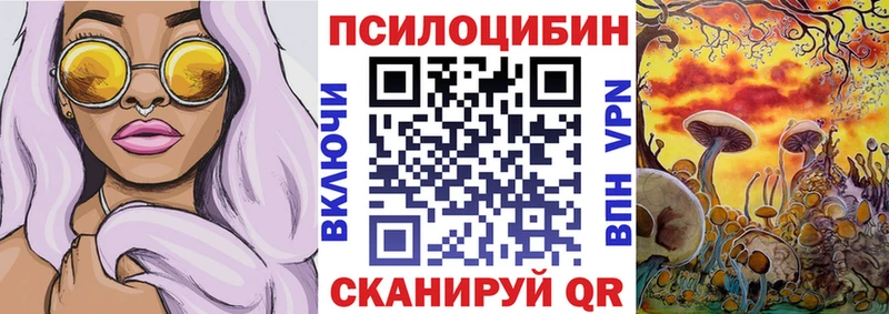 Галлюциногенные грибы Cubensis  закладка  Омск 