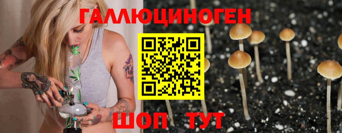 Галлюциногенные грибы прущие грибы Омск